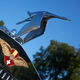 Illustration for article titled Edinburgh Concours of Elegance